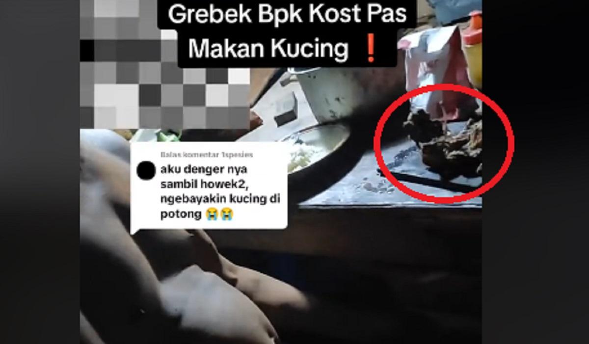 Viral Bapak Kos di Semarang Makan 10 Daging Kucing Untuk Sembuhkan Diabetes