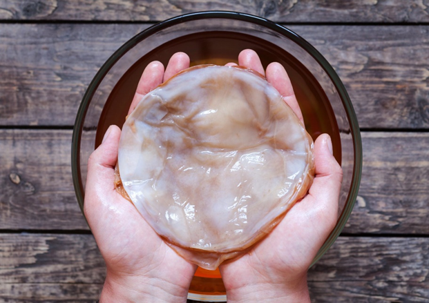 Kenali 5 Manfaat Scoby Kombucha Bagi Kesehatan Tubuh