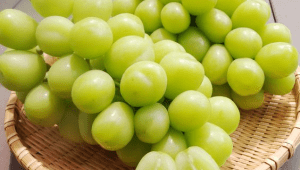 Anggur Shine Muscat | Pinterest