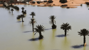 Gurun Sahara Banjir Setelah 50 Tahun Kering | Ist