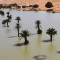 Gurun Sahara Banjir Setelah 50 Tahun Kering