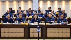 Menteri Keuangan (Menkeu) Sri Mulyani Indrawati bersama Kementerian Keuangan (Kemenkeu), Komisi XI DPR, di Komisi XI DPR, Rabu, 13/11/2024. | Instagram @smindrawati