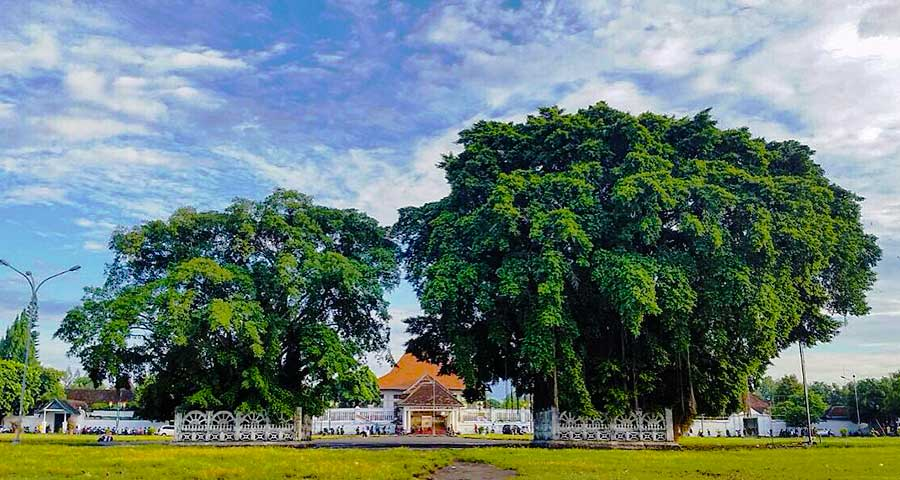 Alun-Alun Kidul | Ist