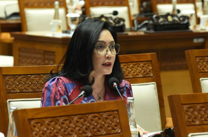 Rieke Diah Pitaloka Buka Suara Usai Diadukan ke MKD Buntut Dugaan Provokasi Tolak PPN 12 Persen