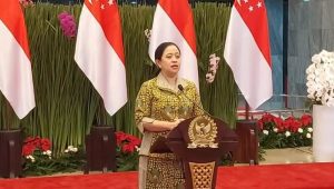 Ketua DPR RI Puan Maharani usai menerima kunjungan Ketua Parlemen Singapura, Seah Kian Peng, di Gedung DPR RI, Jakarta, pada Jumat, 24/1/2025 | Muhammad Reza/Forum Keadilan