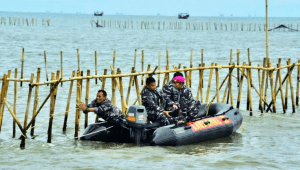 Pembongkaran Pagar Laut 30,16 kilometer di Kabupaten Tangerang, Banten | Dok. TNI AL