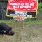 Eks Kader PDIP, Sudarsono sujud syukur di depan Gedung KPK, Senin, 17/2/2025. | Syahrul Baihaqi/ Forum Keadilan