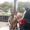 Gubernur Jakarta Pramono Anung saat tiba di Gedung KPK, Senin, 24/3/2025 | Syahrul Baihaqi/Forum Keadilan