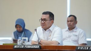 Menteri Perdagangan (Mendag) RI, Budi Santoso | Dok Kementerian Perdagangan RI