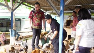 Anggota DPRD DKI Jakarta dari Fraksi PDI Perjuangan Hardiyanto Kenneth saat melakukan sifak di Puskeswan Ragunan, Jakarta Selatan, Rabu, 4/6/2025 | Ist