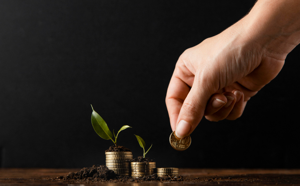Strategi Investasi Jangka Panjang untuk Pemula