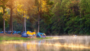 Ilustrasi Camping | Ist