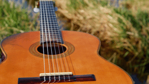 Ilustrasi Gitar | Ist