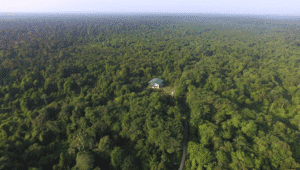 Taman Nasional Tesso Nilo | Ist