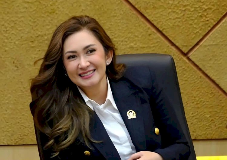 Sahroni-Nafa Dinonaktifkan NasDem, Pakar Sebut UU Tak Atur Status Nonaktif Anggota DPR