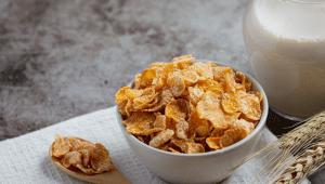 Ilustrasi Granola | Ist