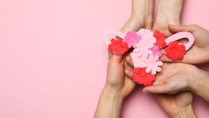 Ilustrasi Organ Vital Dalam Wanita | Ist