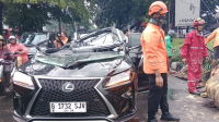Mobil eks petinggi Danareksa Harry Danardojo tertimpa pohon palem pada Minggu, 26/10/2025 sekitar pukul 13.59 WIB, di wilayah Pondok Indah, Jakarta Selatan | Dok. BPBD