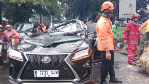 Mobil eks petinggi Danareksa Harry Danardojo tertimpa pohon palem pada Minggu, 26/10/2025 sekitar pukul 13.59 WIB, di wilayah Pondok Indah, Jakarta Selatan | Dok. BPBD