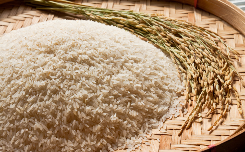 Tips Memilih Beras yang Baik untuk Kesehatan dan Masakan