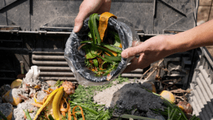 Ilustrasi membuang makanan atau food wasting | Ist