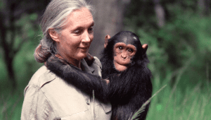 Dr. Jane Goodall | Ist