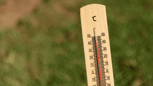 Thermometer | Ist