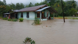 Banjir yang merendam pemukiman warga di Kabupaten Tapanuli Utara, Sumatra Utara, Selasa, 25/11/2025. | Dok BPBD Kabupaten Tapanuli Utaru