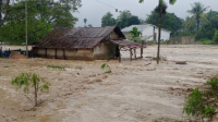 Situasi Banjir di Aceh | Selamat Ginting