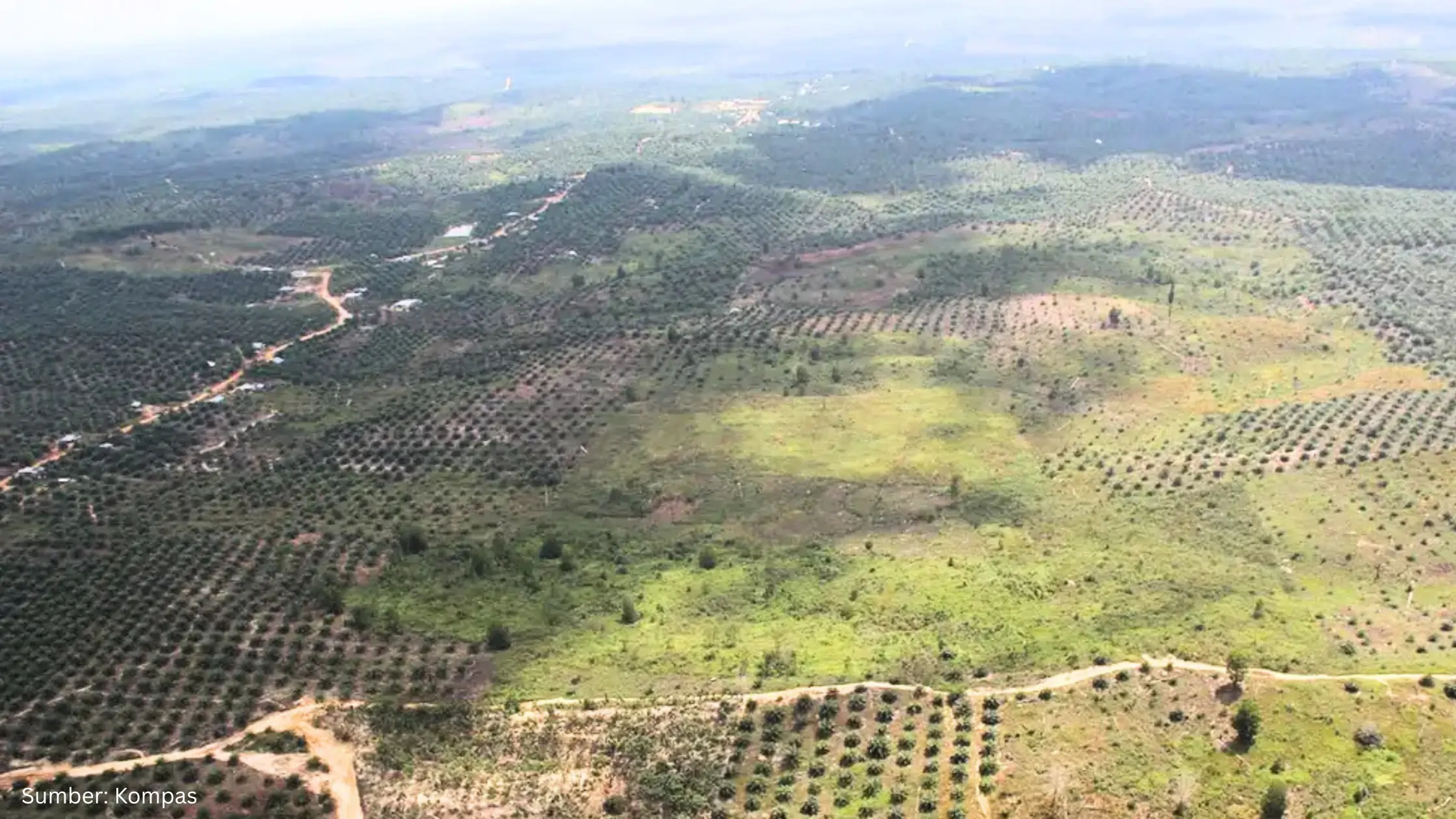Jaksa Agung: Lahan 8.077 Hektare Disiapkan untuk Relokasi 227 KK dari TN Tesso Nilo