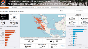 Data Jumlah Korban Bencana di Sumatra-Aceh | Website BNPB
