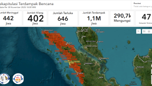 Data Jumlah Korban Bencana di Sumatra | Website BNPB