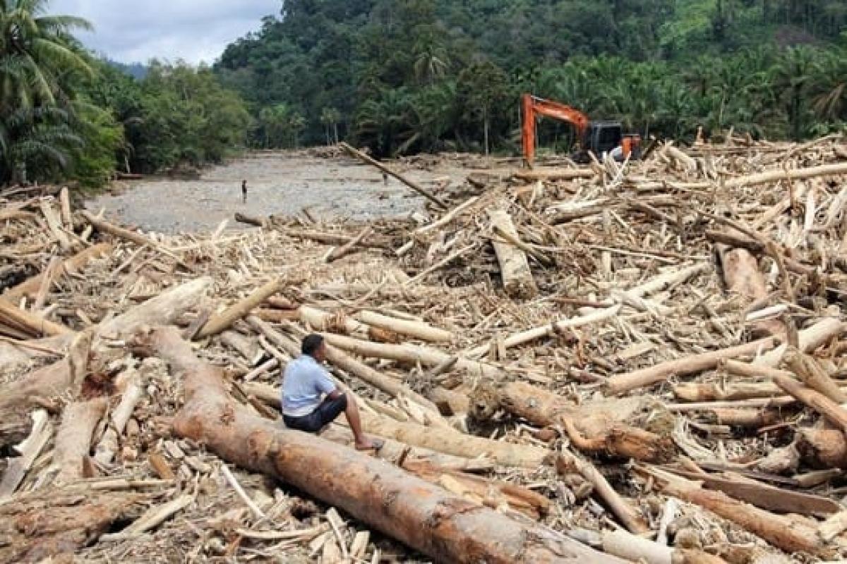 Kapolri soal Penyidikan Gelondongan Kayu Bencana: Korporasi Langgar Aturan Lingkungan Hidup