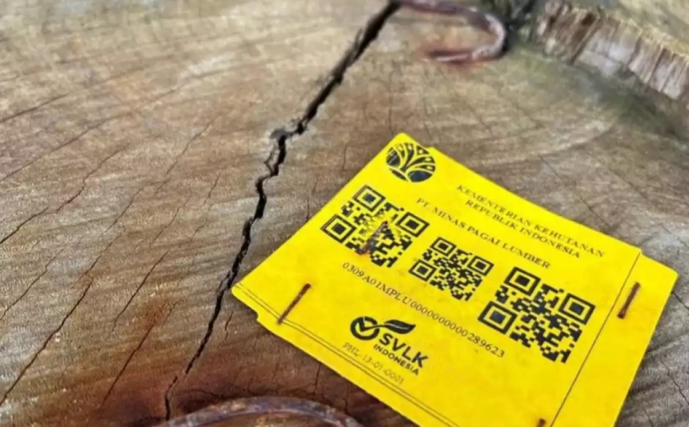 Gelondongan Kayu dari Sumbar Terdapat Label Kemenhut dan Perusahaan