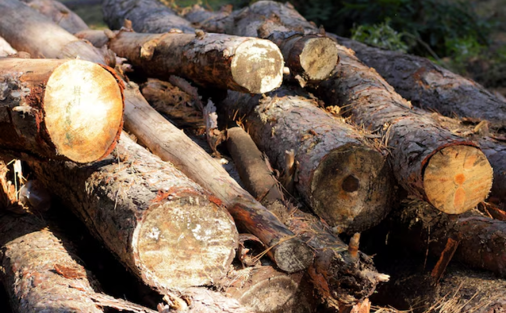 Kemenhut Izinkan Kayu Hanyut Dipakai untuk Pemulihan Banjir di Sumatra