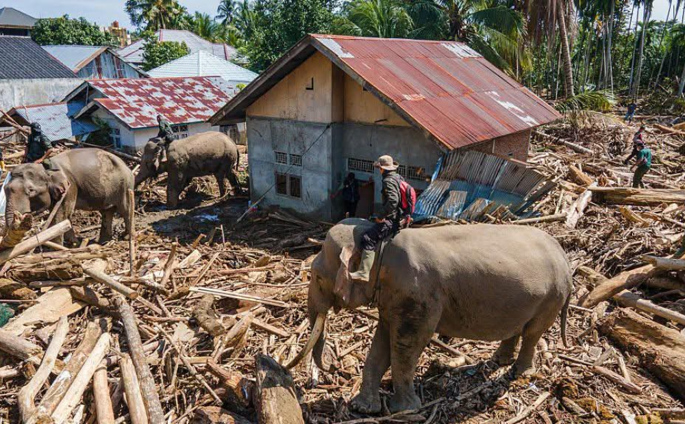 Korban Meninggal Bencana Aceh-Sumatra Terus Bertambah, Kini Capai 1.022 Orang