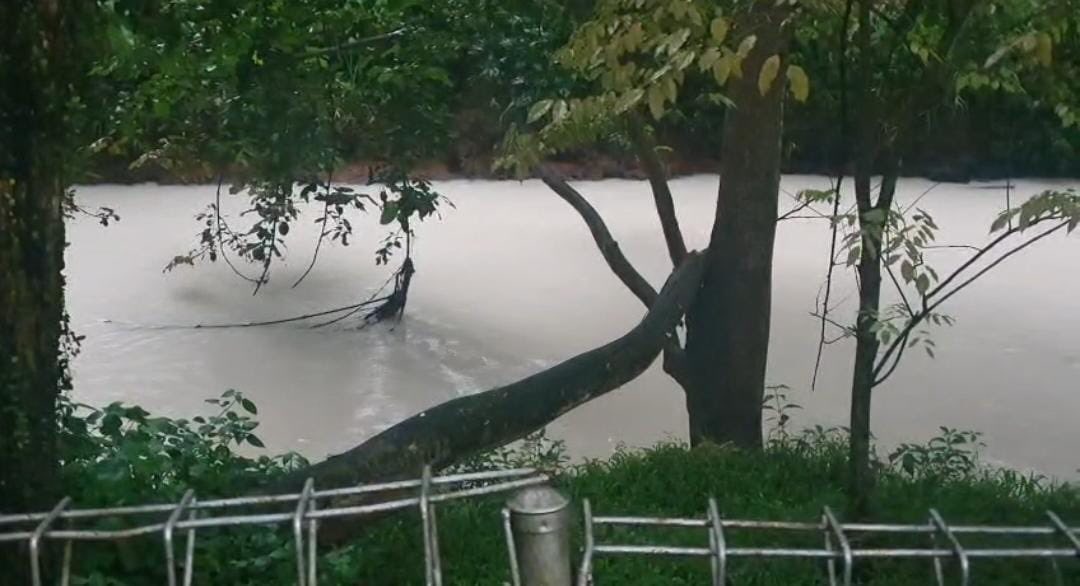 Pencemaran Residu Kimia di Sungai Cisadane Meluas hingga 22 Km, KLH Periksa PT Biotek Saranatama