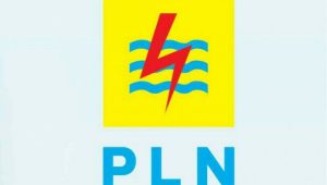 PT PLN (Persero) | Ist