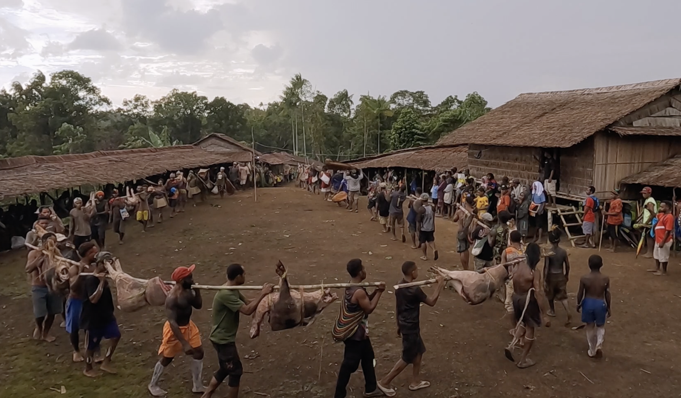 Pesta Babi dan Kolaborasi Penguasa-Oligarki yang Membabi Buta
