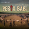 TNI AD Buka Suara Usai Dikecam Aksi Pembubaran Nobar Film Pesta Babi