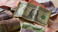 Dollar dan Rupiah. | Ist