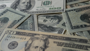 Dollar Amerika Serikat | Ist