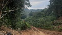Foto kerusakan alam di areal TNBBS | Dok Ist