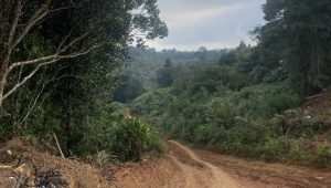 Foto kerusakan alam di areal TNBBS | Dok Ist