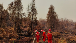 Kebakaran hutan dan lahan (karhutla) di wilayah Kalimantan. | Kementerian Perhutanan RI