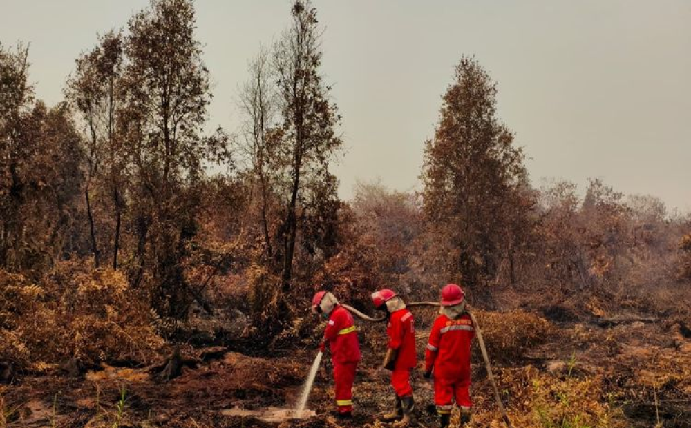 Titik Panas Karhutla di Kalimantan Capai 1.487 Titik
