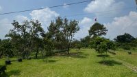 Aset glamping kebun durian dan alpukat seluas sekitar 1,5 hektare yang berlokasi di Ciater, Subang yang diduga berkaitan dengan saksi kasus dugaan suap Bupati Bekasi nonaktif Ade Kuswara Kunang, Yayat Sudrajat (YS) | Ist