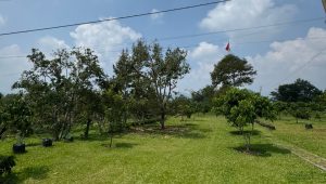 Aset glamping kebun durian dan alpukat seluas sekitar 1,5 hektare yang berlokasi di Ciater, Subang yang diduga berkaitan dengan saksi kasus dugaan suap Bupati Bekasi nonaktif Ade Kuswara Kunang, Yayat Sudrajat (YS) | Ist