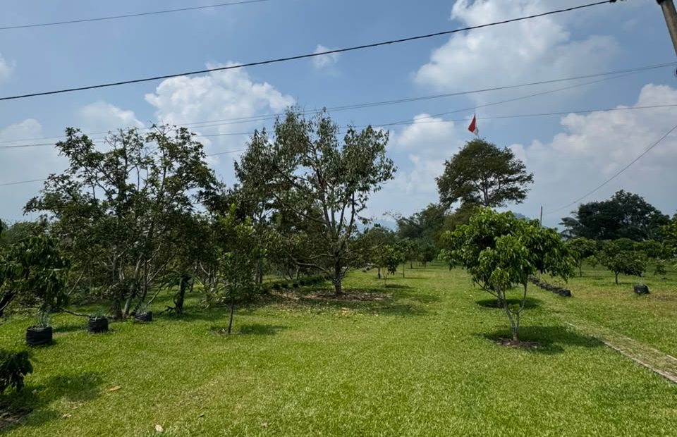 KPK Cek Glamping dan Kebun Durian Diduga Milik Saksi Kasus Suap Bupati Bekasi