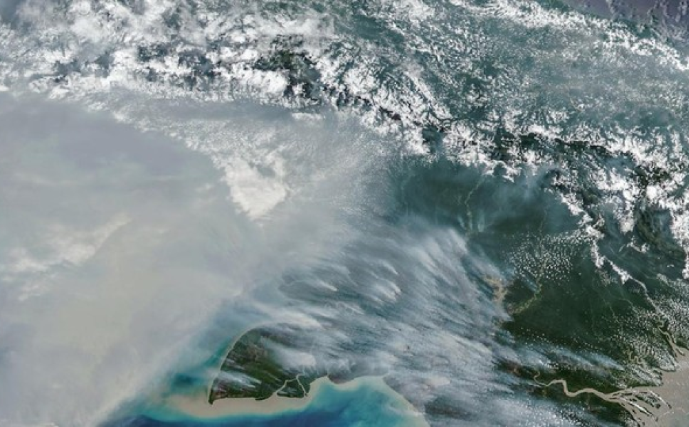 NASA Soroti Lonjakan Emisi Karbon Dampak Karhutla di Papua